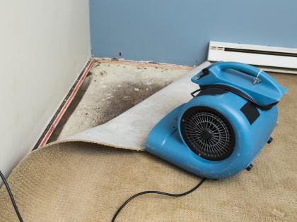 Image of a dehumidifier blowing being used to dry a soaked carpet.