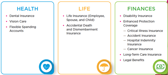 Outline of various Flexible Benefits options