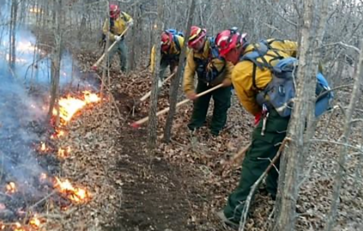GA Forestry_first responders1a.png